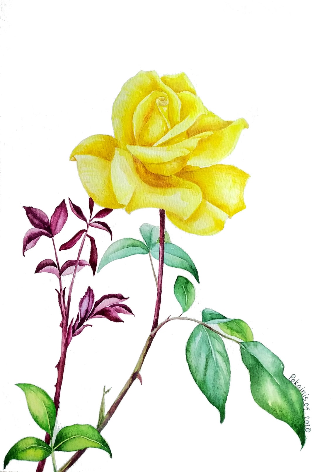 Single Yellow Rose Blossom Botanical Watercolor Flower Art Poster