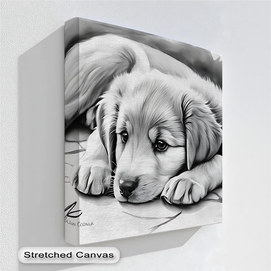 Sleeping Puppy Black White Sketch Poster Golden Retriever Resting Dog