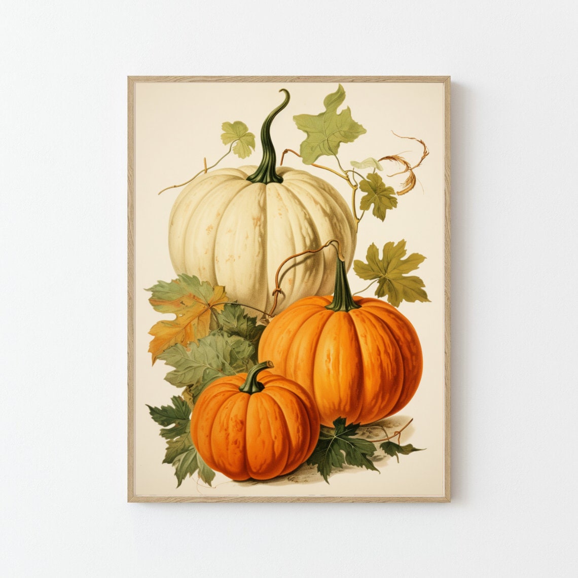 Vintage Botanical Pumpkin Illustration Autumn Fall Harvest Poster