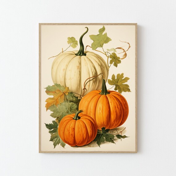 Vintage Botanical Pumpkin Illustration Autumn Fall Harvest Poster