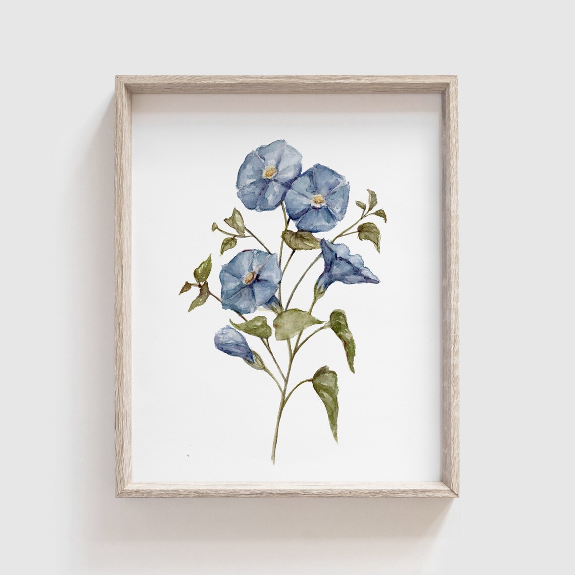 Morning Glory Watercolor Flower Art Print