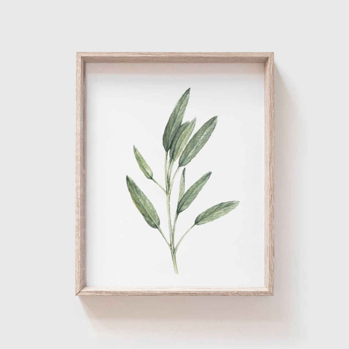 Sage Watercolor Art Print, Farmhouse Kitchen Decor