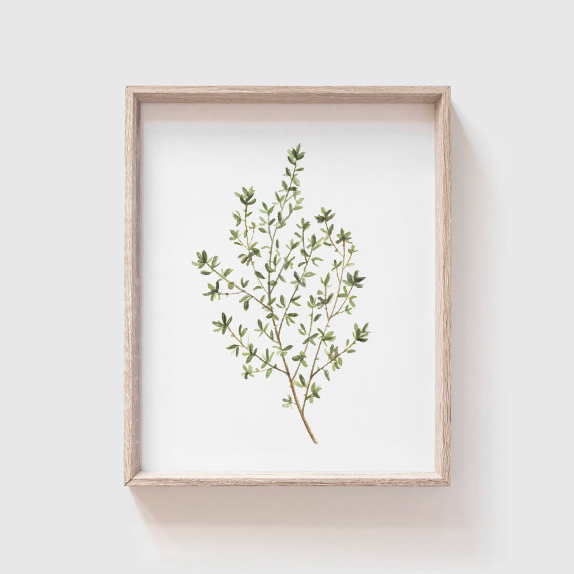 Thyme Watercolor Art Print, Kitchen Wall Art