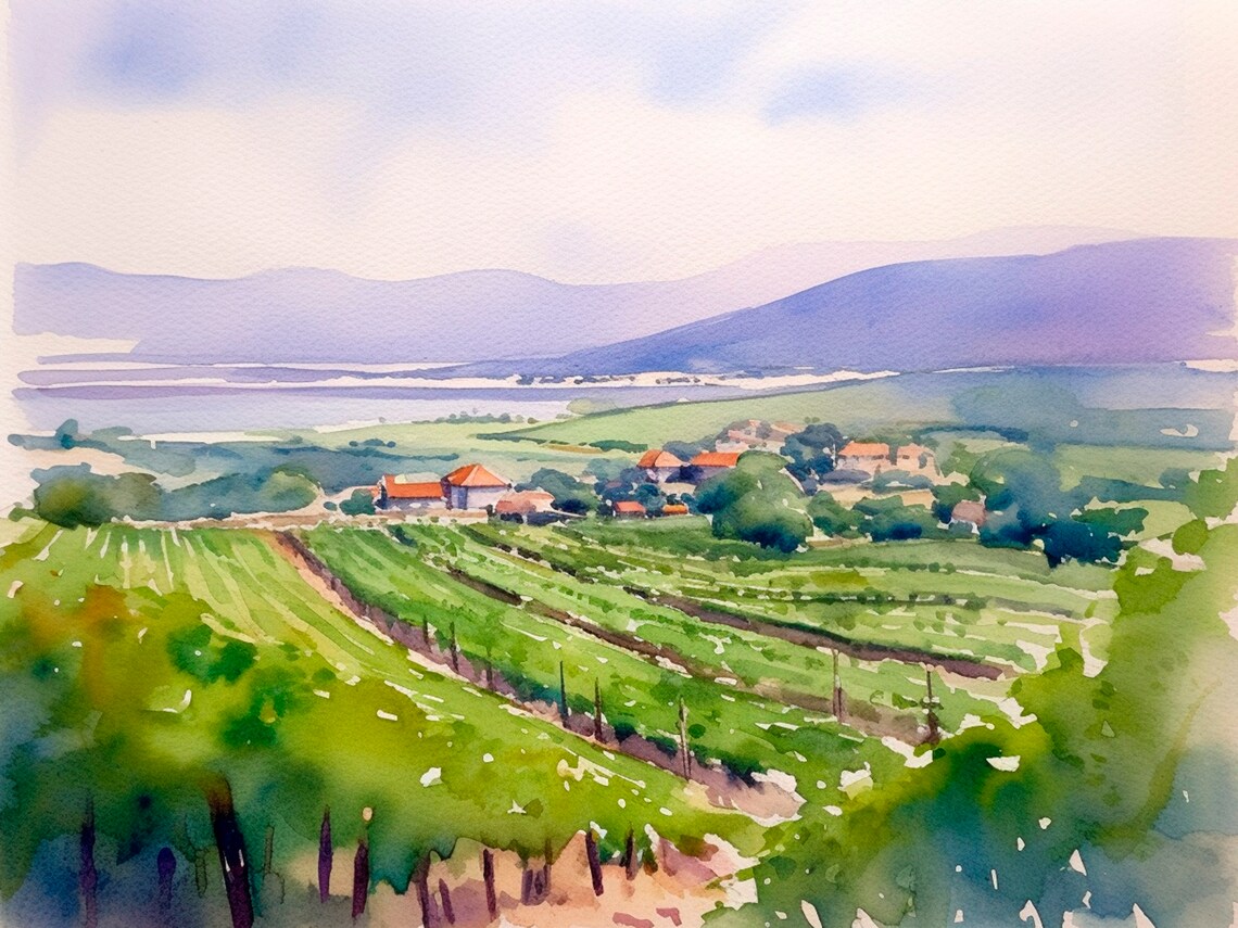 Winery Estates Watercolor Painting, Napa Valley