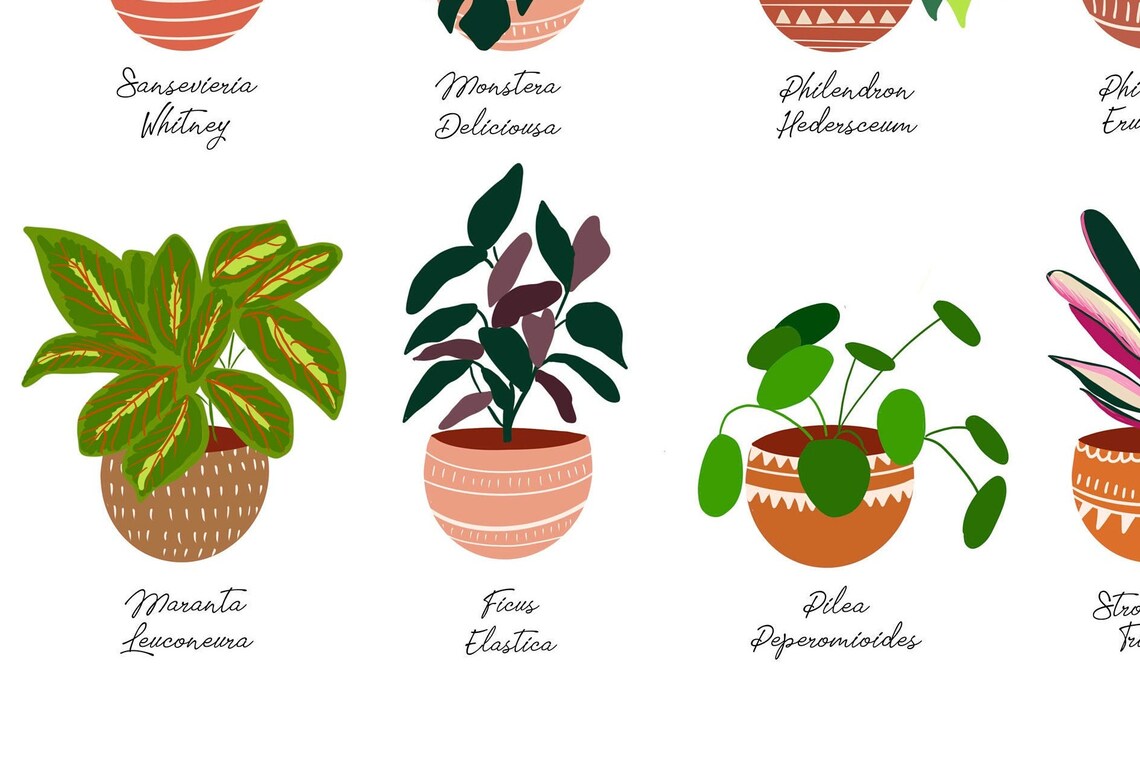 House Plant Bohemian Poster, Botanical Wall Art - Image 2