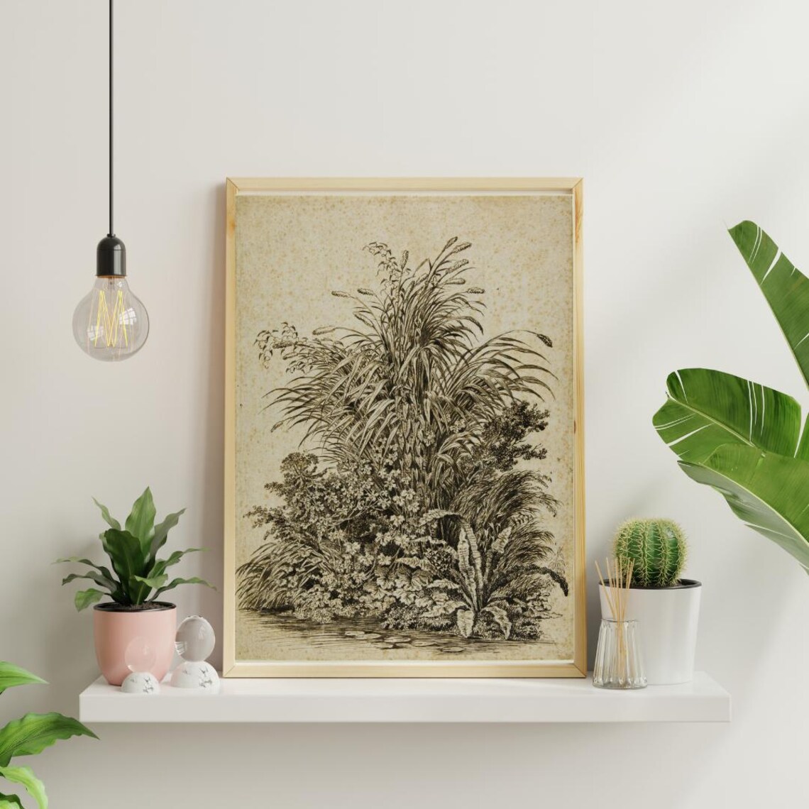 Plants At Waters Edge Vintage Botanical Illustration - Image 2