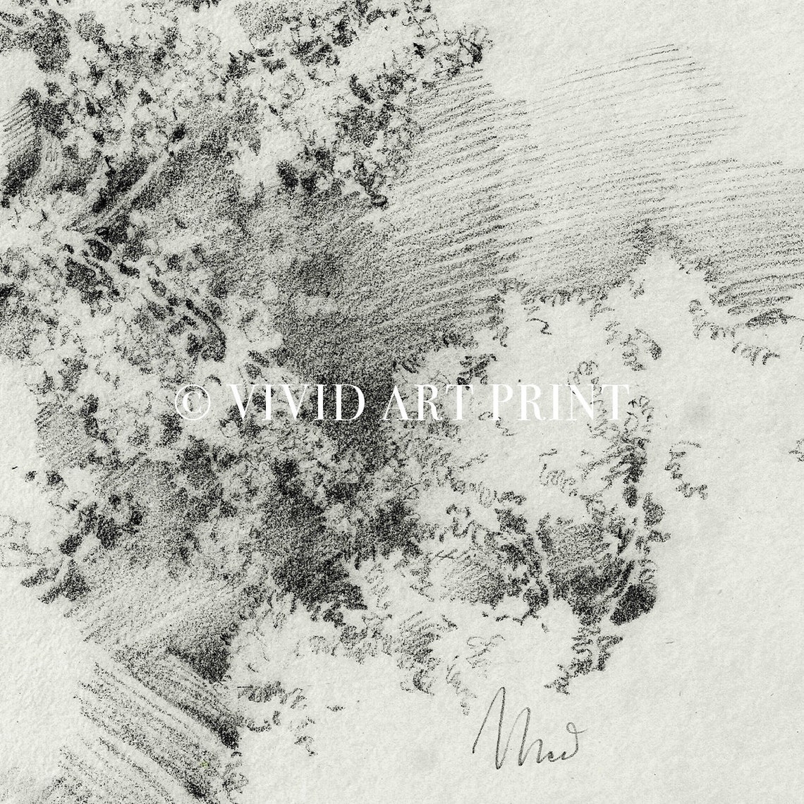 Antique Pencil Sketch Art Forest Dreamscape Vintage Home Wall Art Decor Vivid Art Print Fd 117 - Image 4