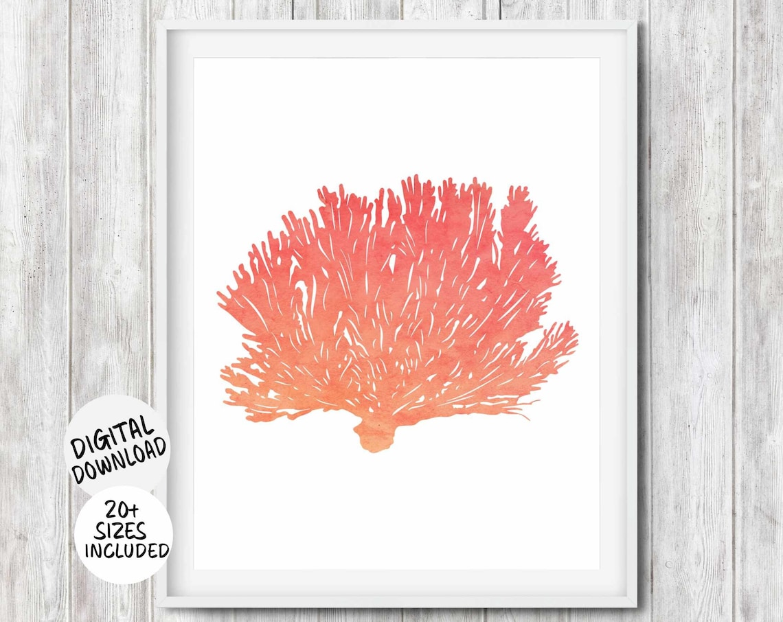 Coral Feather Tube Watercolor Sea Coral Coastal Bathroom Poster