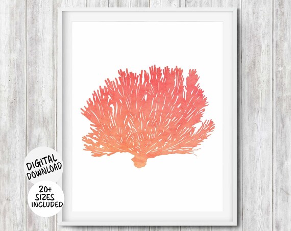 Coral Seaweed Wall Art Beach Theme Hamptons Style Print Coastal Bathroom Nursery Girls Room Decor Ocean Inspired Beach House