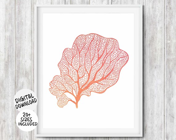 Sea Fan Coastal Wall Art Coral Sea Life Bathroom Art Print Beach House Coastal Decor Minimalist Nautical Nursery Under The Sea