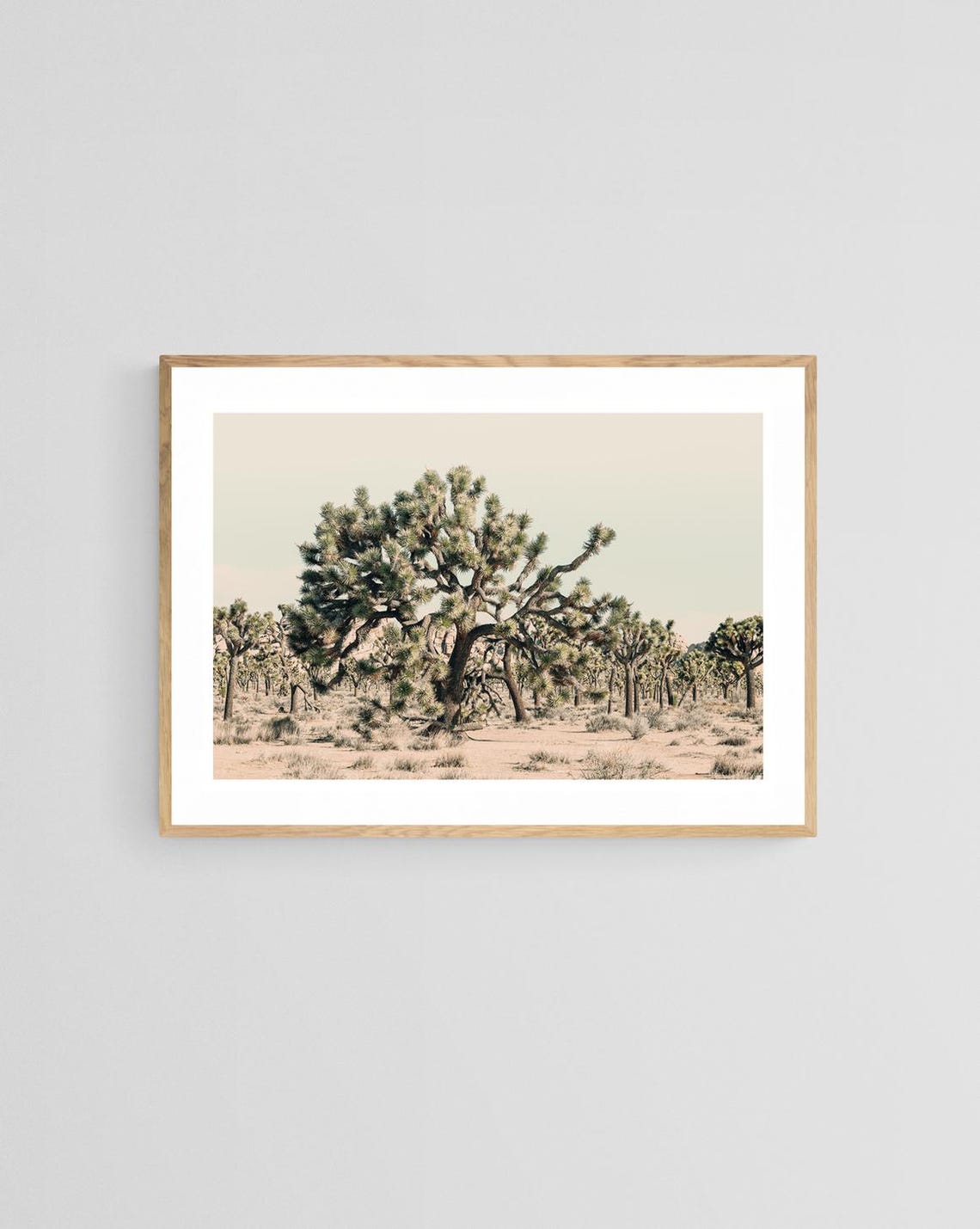 Joshua Tree Photograph, Southwestern Landscape