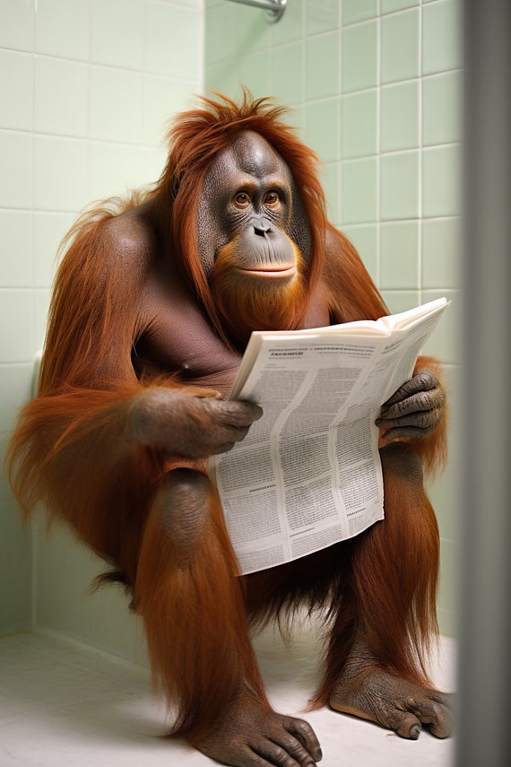Orangutan Ape Sitting On The Toilet Reading A Newspaper Funny Bathroom Wall Art Funny Monkey Print Funny Animal Photo Ai Art