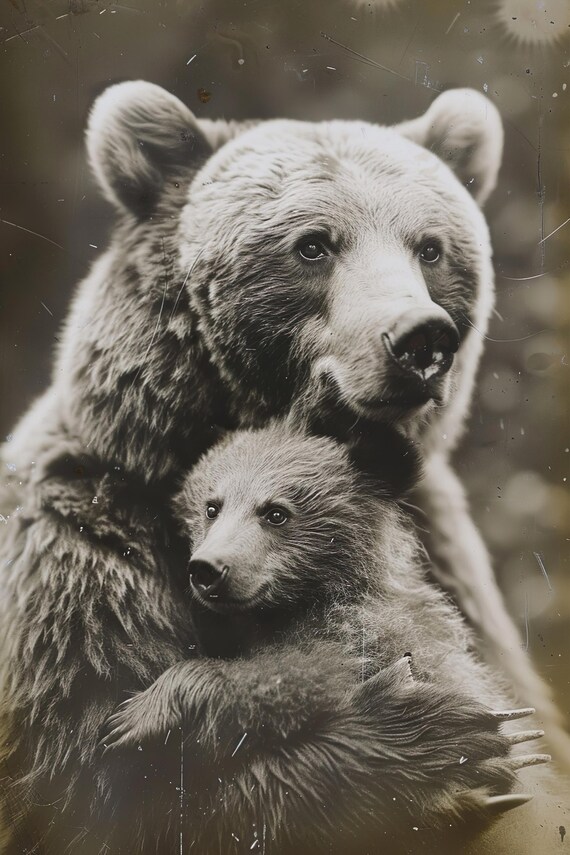 Grizzly Bear Mother and Cub Black and White Photo Poster for Nursery Decor