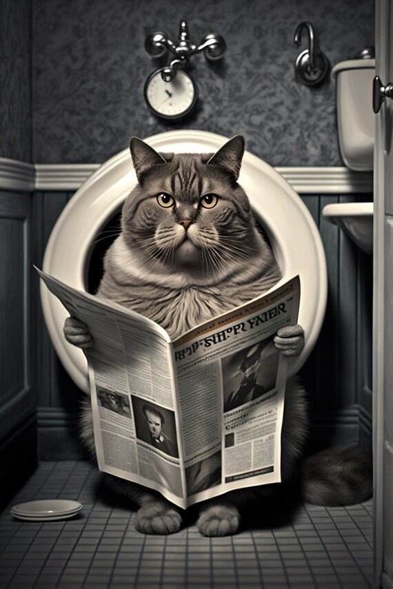 Funny Grumpy Grey Cat Reading Newspaper on Toilet Bathroom Poster