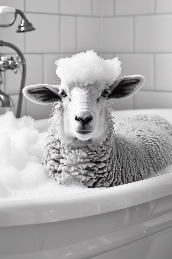Sheep In The Bathtub Funny Animal Photograph Sheep Taking A Bubble Bath Ai Animal Print Funny Bathroom Wall Art Home