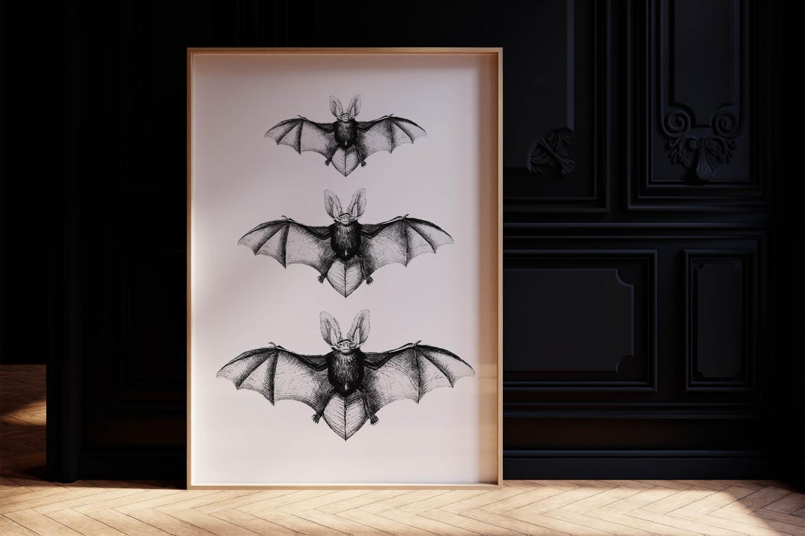 Three Bats Vintage Naturalist Illustration Halloween Spooky Poster - Image 6
