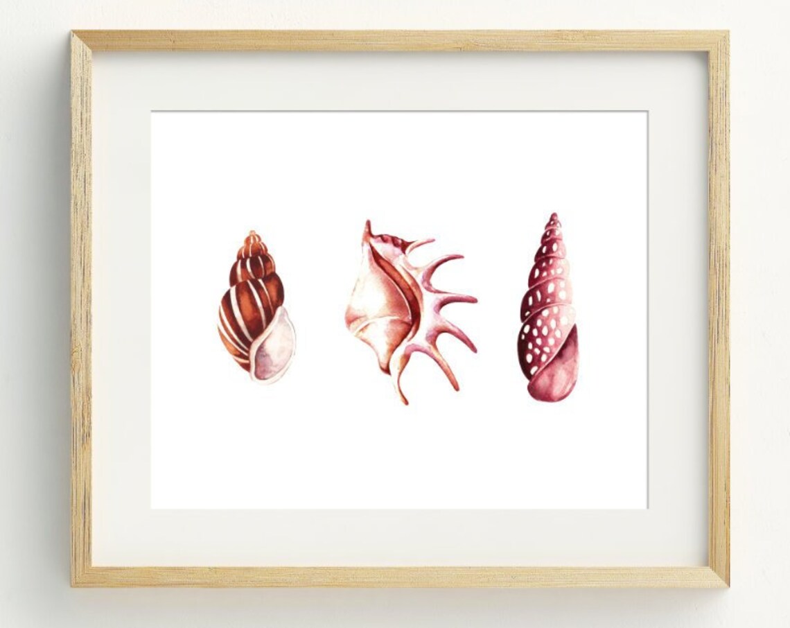 Three Watercolor Seashells Art Print Pink Coastal Shells Beach Wall Decor Poster