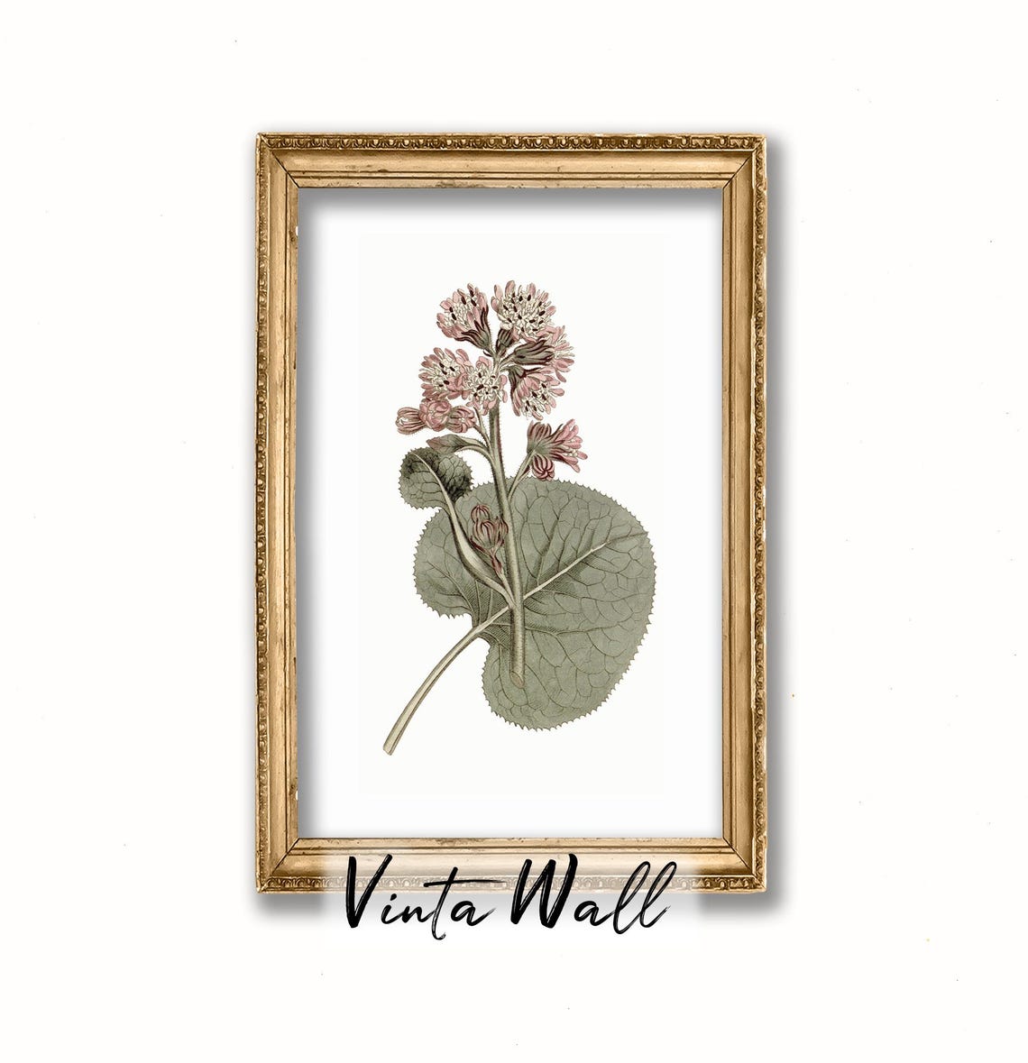 Pink Blossom Cluster with Round Leaves Vintage Botanical Poster - Image 4