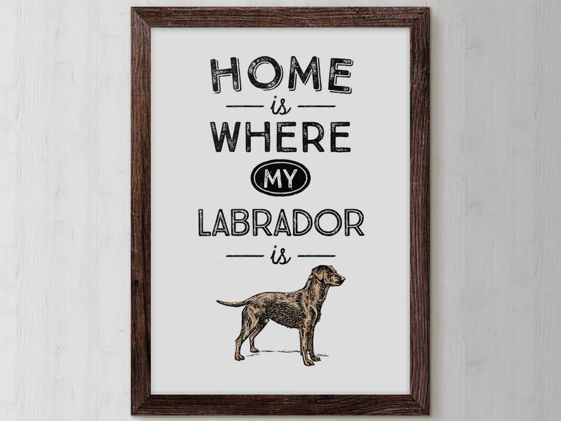 Home Is Where My Labrador Is Labrador Retriever Dog Quote Poster