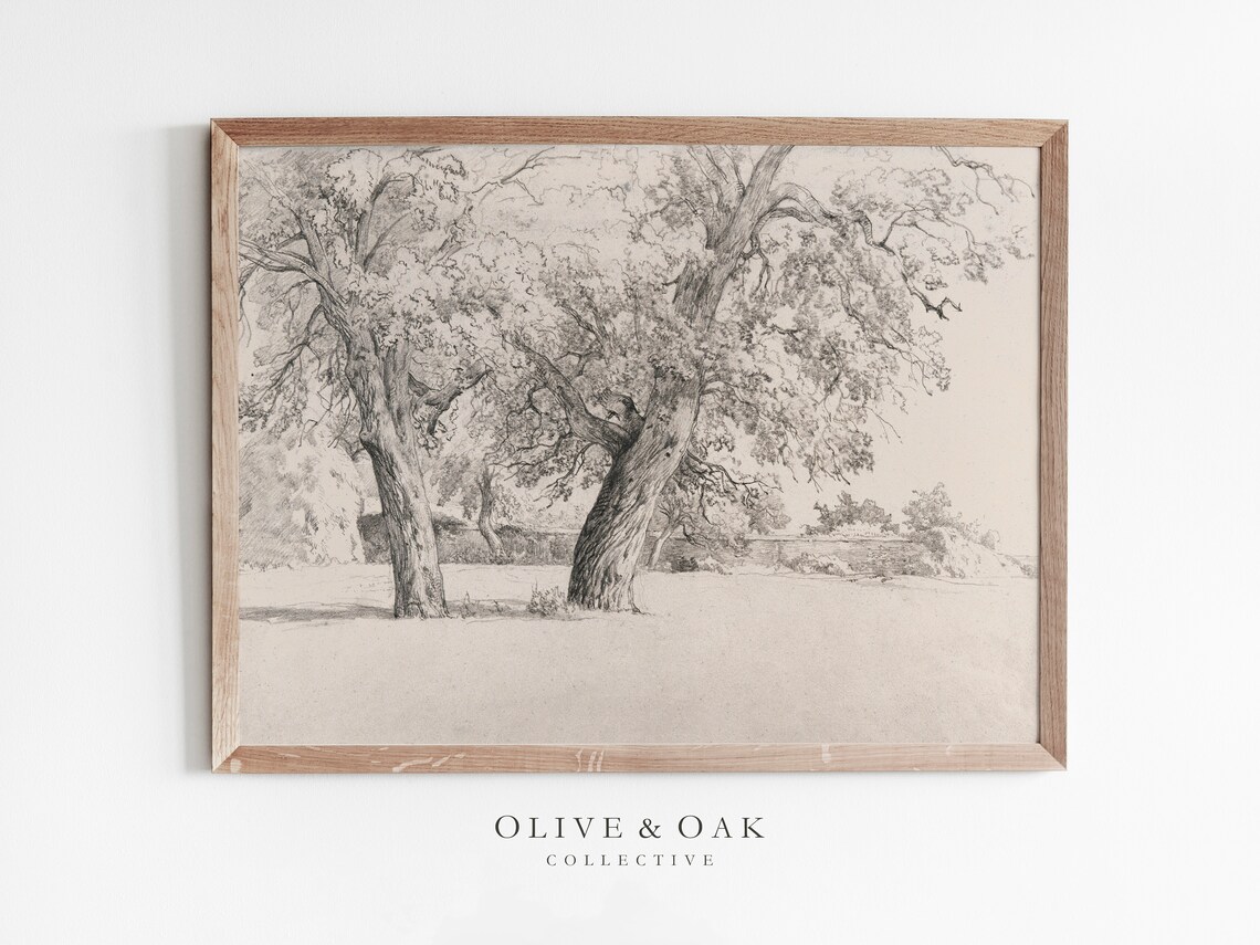 Antique Tree Sketch, Farmhouse Landscape Art Print
