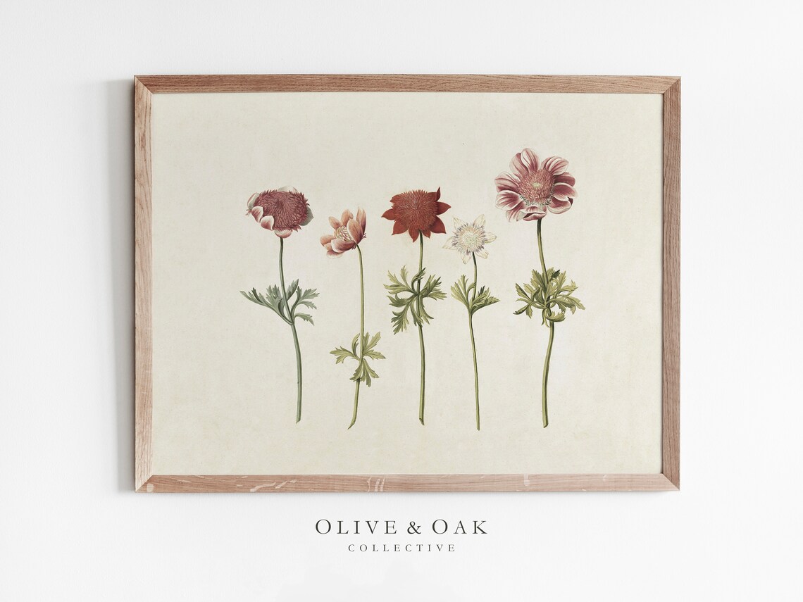 Antique Flower Drawing, Rustic Botanical Art Print