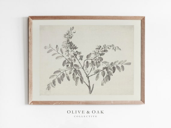 Vintage Branch Sketch, Antique Botanical Art Print