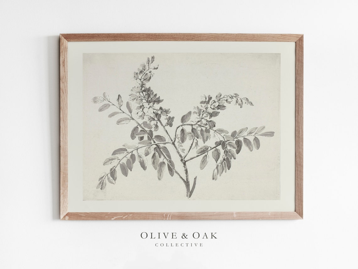 Vintage Branch Sketch, Antique Botanical Art Print