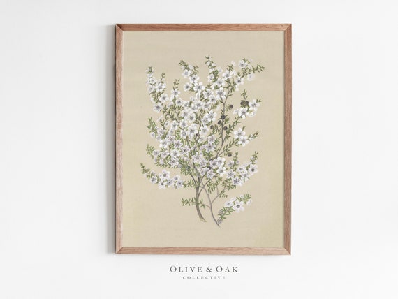 Vintage Flower Drawing Art Print, Floral Decor