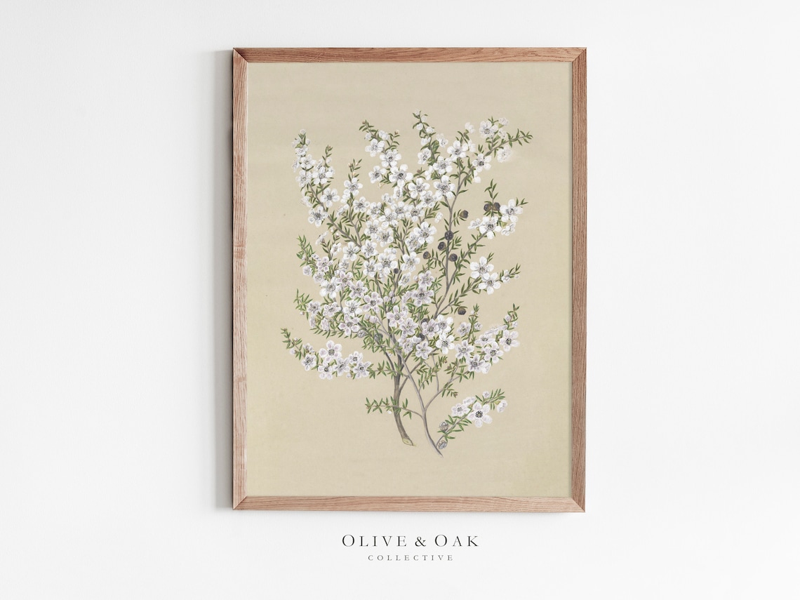 Vintage Flower Drawing Art Print, Floral Decor