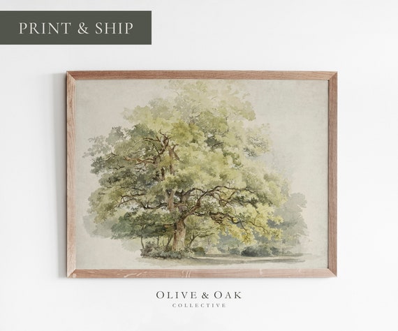 Oak Tree Drawing, Rustic Country Cottagecore Art Print
