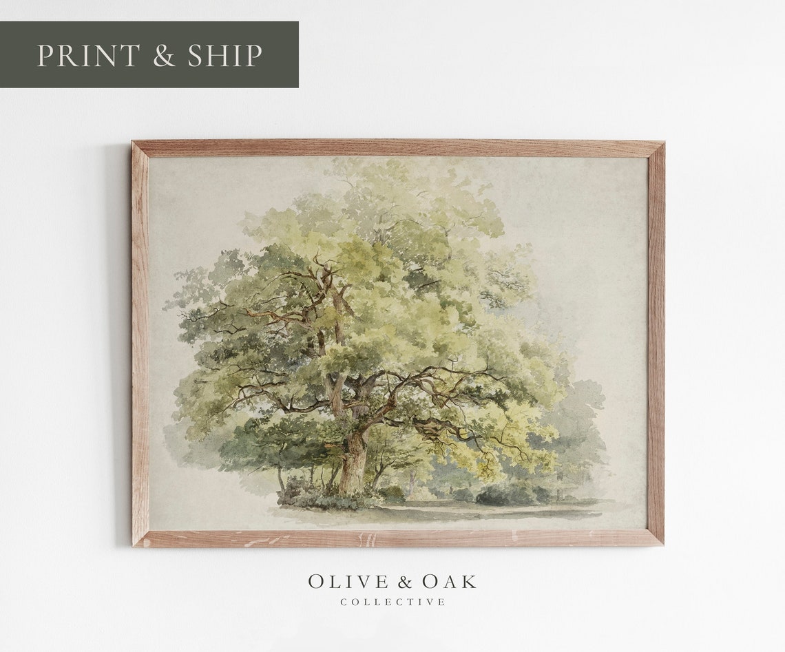 Oak Tree Drawing, Rustic Country Cottagecore Art Print