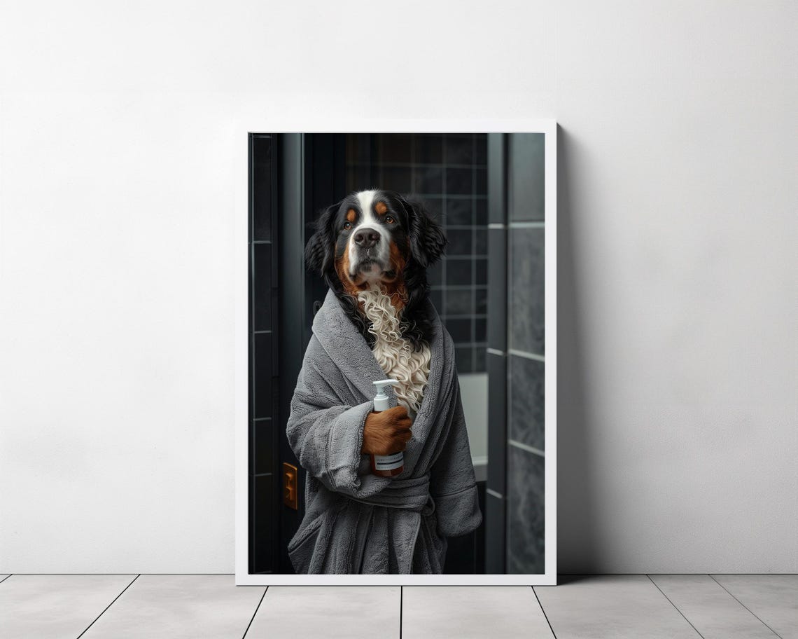 Bernese Mountain Dog in Bathrobe Funny Bathroom Dog Photo Poster - Image 3