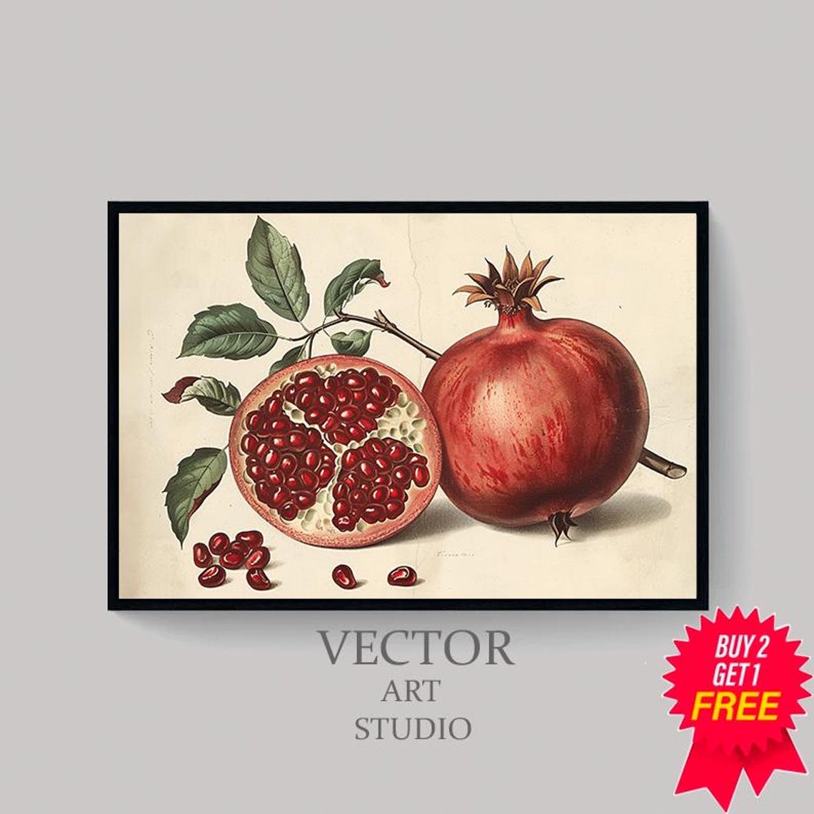 Vintage Red Pomegranate Botanical Whole and Halved Fruit Poster - Image 4