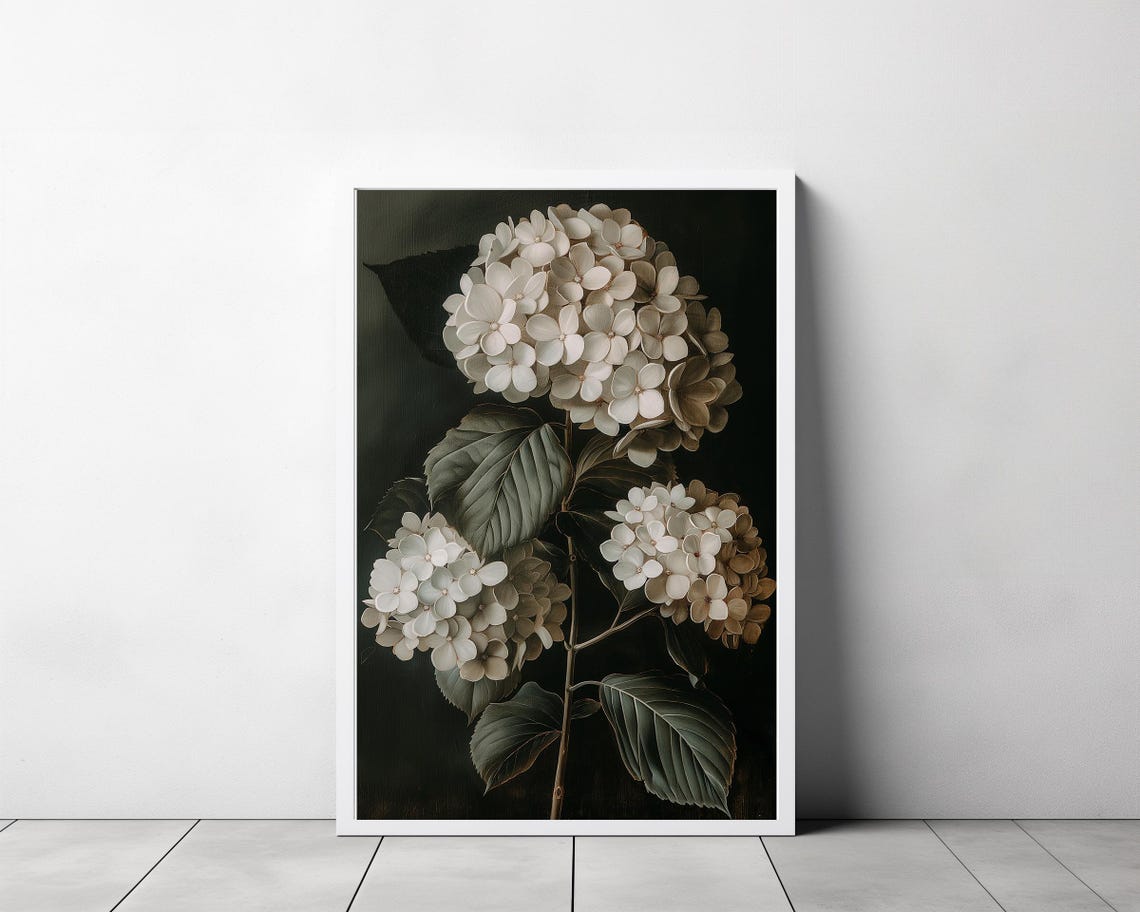 Classic White Hydrangea Trio in Bloom on Dramatic Black Poster - Image 3