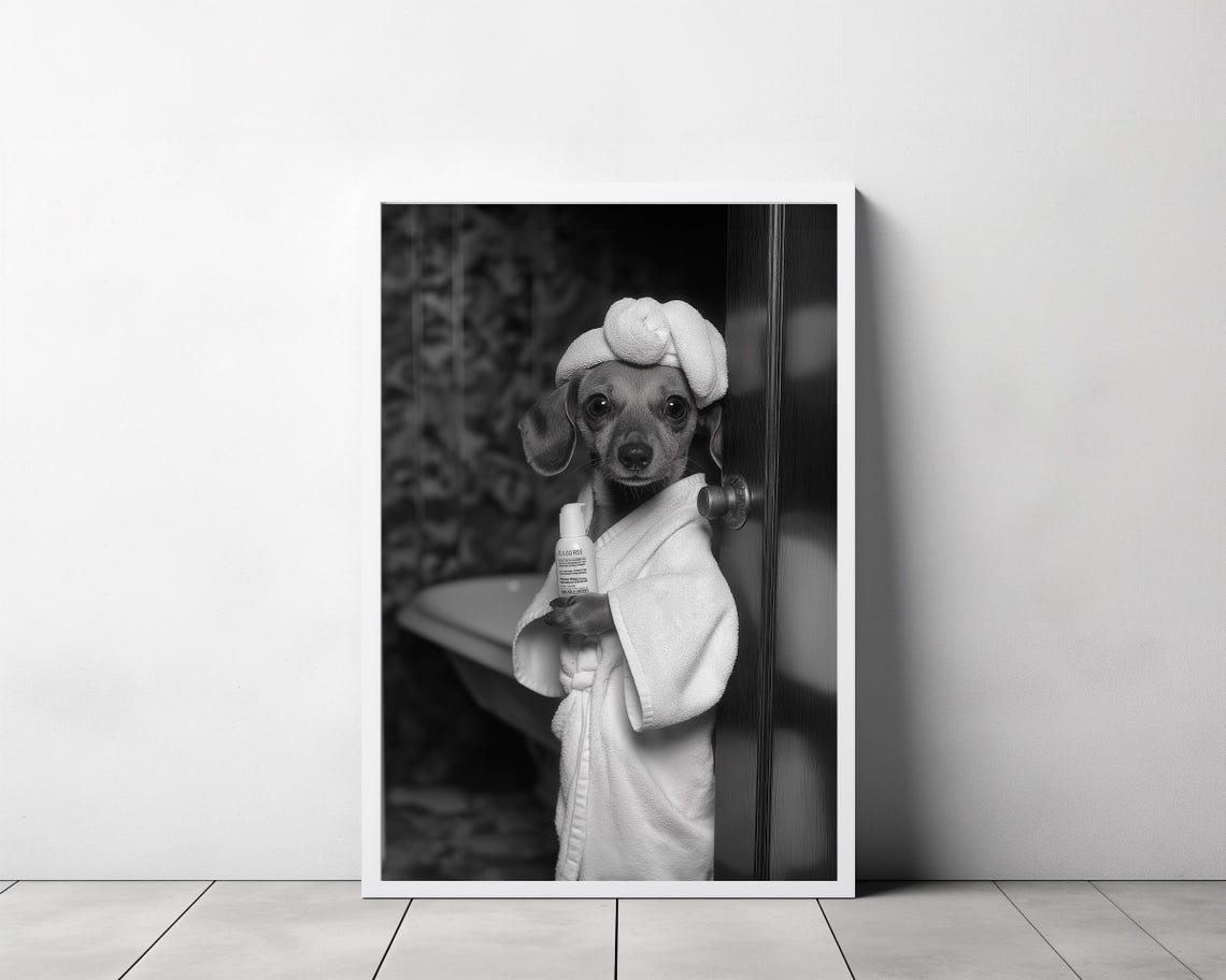 Dachshund In Bathrobe Peeking From Bathroom Door Photo Poster - Image 3