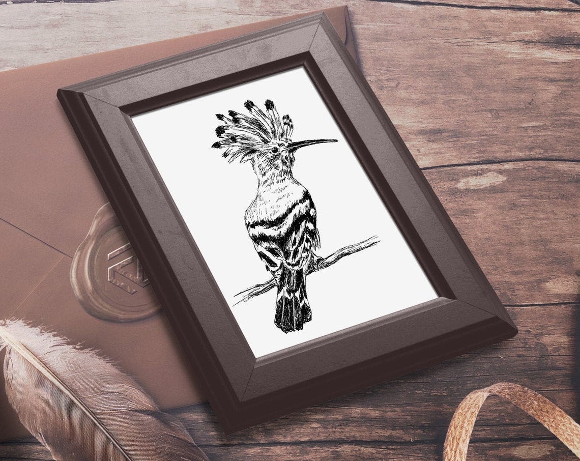 Hoopoe Bird Crested Long Beak Ink Sketch Birdwatcher Wall Art