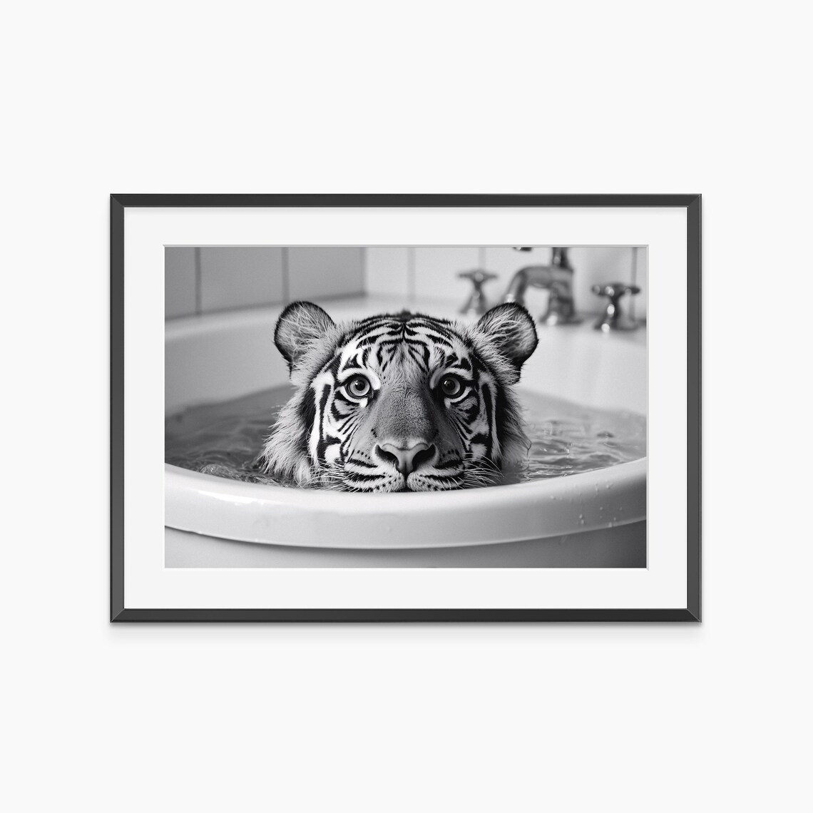 Tiger Bathing in Vintage Bathtub Black and White Humorous Photo Poster