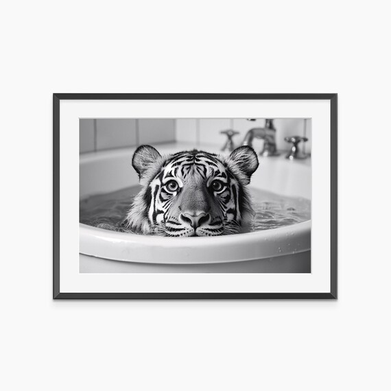 Tiger Bathing in Vintage Bathtub Black and White Humorous Photo Poster