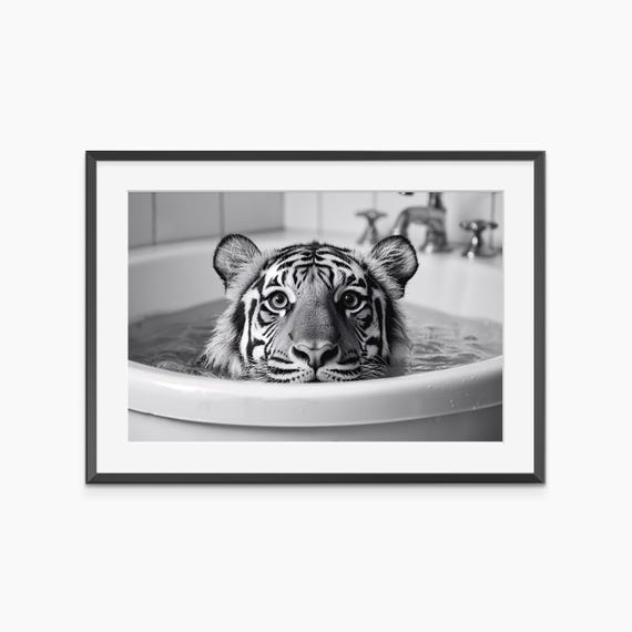 Tiger Poster Photography Prints Bathroom Wall Art Bengal Nursery Print Black And White Museum Grade