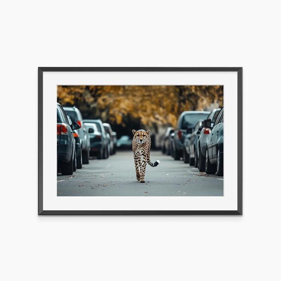 Cheetah Print Photography Prints Fine Art Animal Room Decor Wall Museum Quality Poster