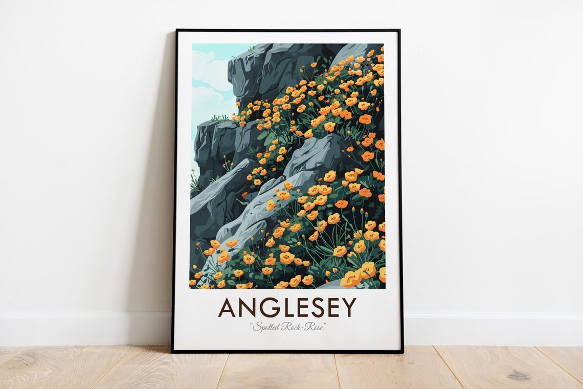 Anglesey Wales Spotted Rock Rose Wildflower Rocks Vintage Poster