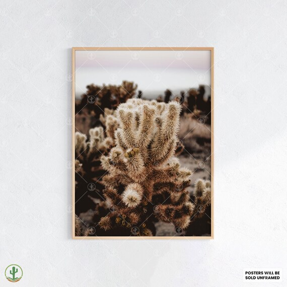 Cholla Cactus Moody Desert Sunset Photography Boho Nature Wall Poster