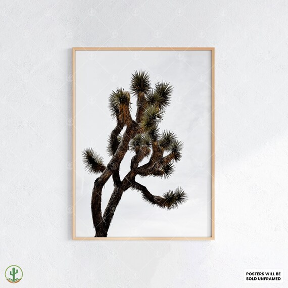 Joshua Tree Silhouette Minimalist Desert Botanical Photography Print
