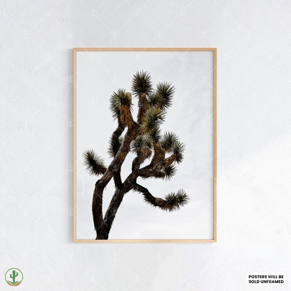 Minimalist Joshua Tree Wall Art Striking Desert Poster With Neutral Sky Boho Botanical Print For Earthy Interiors