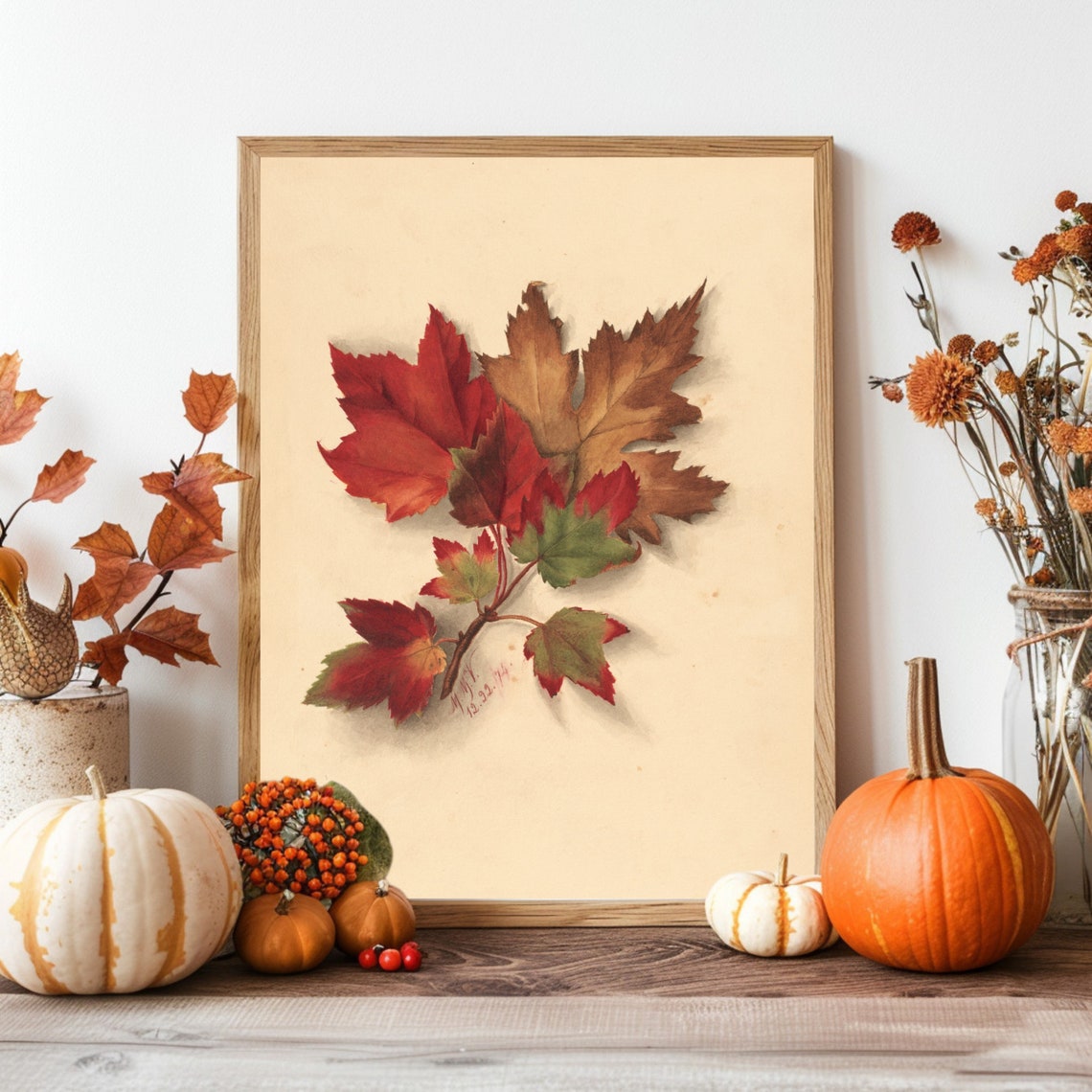 Vintage Botanical Study of Red Maple Leaves Fall Foliage Art Print