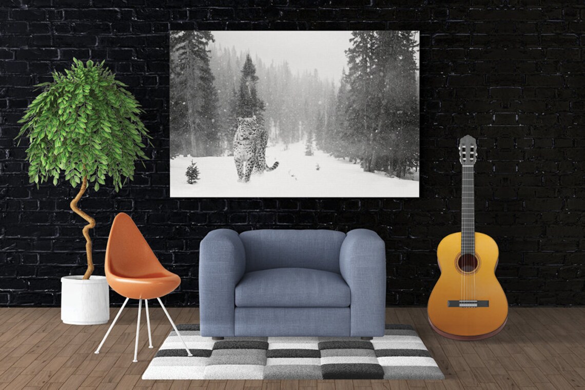Snow Leopard, Winter Wildlife Photography Print - Image 3