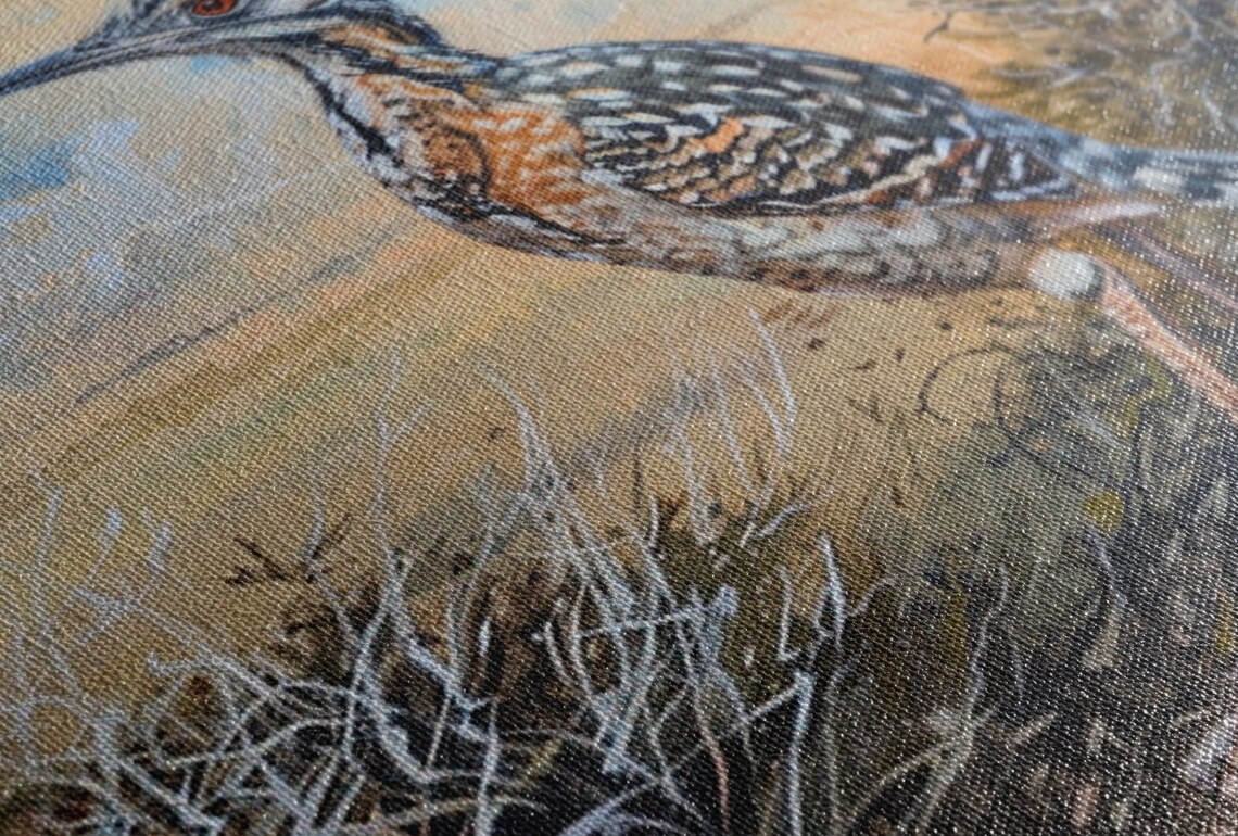 Greater Roadrunner Desert Bird Detailed Wildlife Southwest Art Poster - Image 3