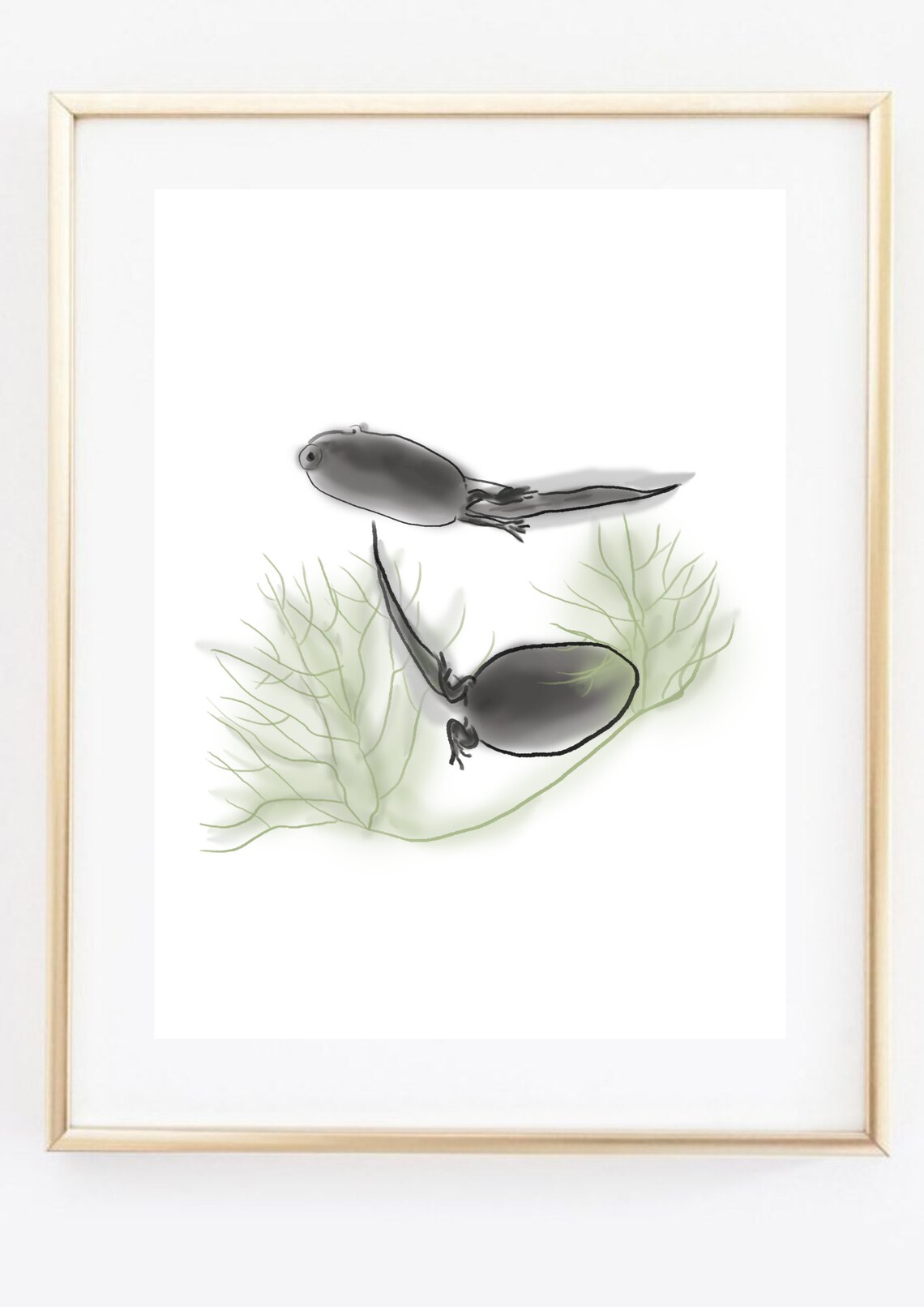 Tadpoles Watercolor Pond Life Two Baby Frogs Nature Science Wall Art - Image 2