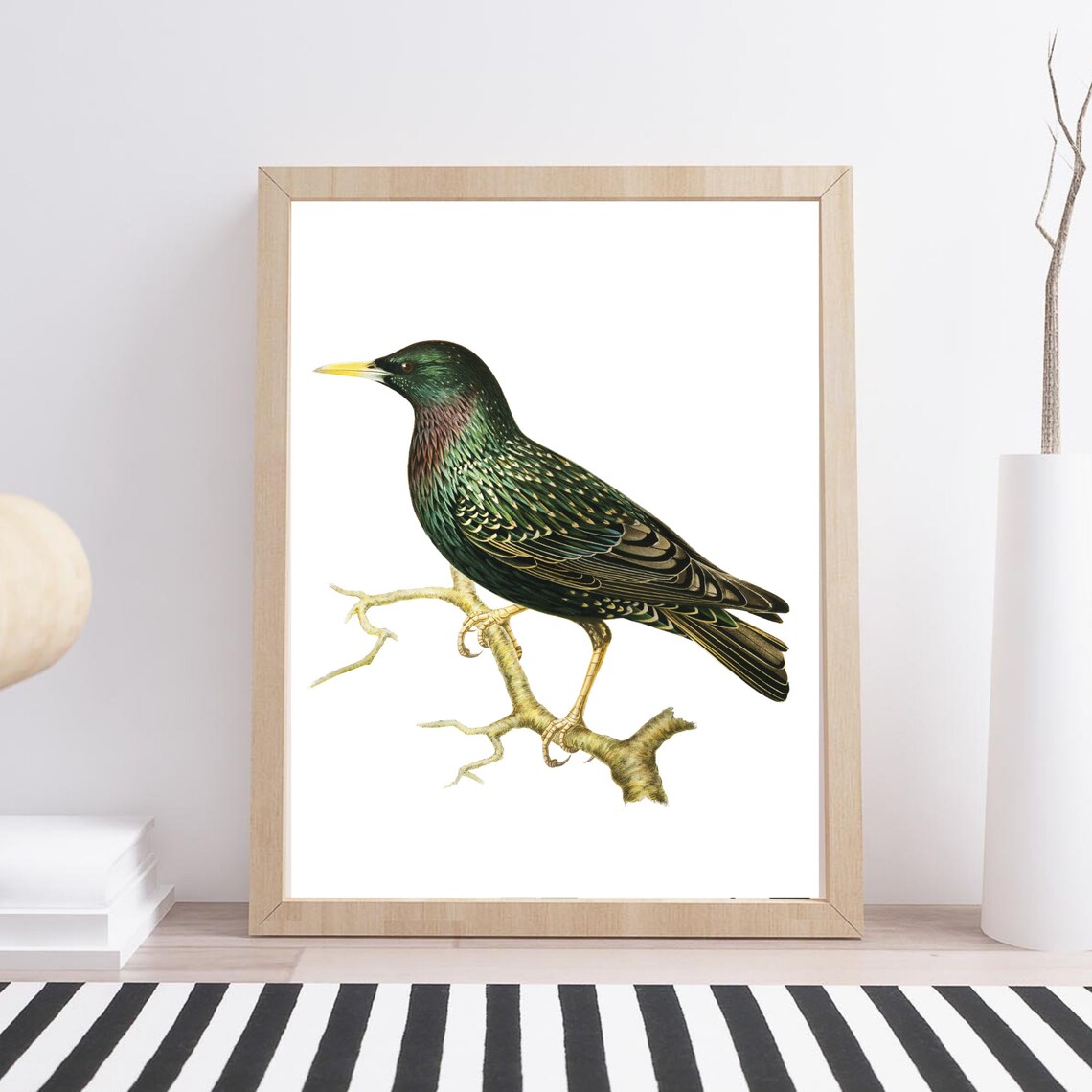 Star Common Star Bird Nature Art Print