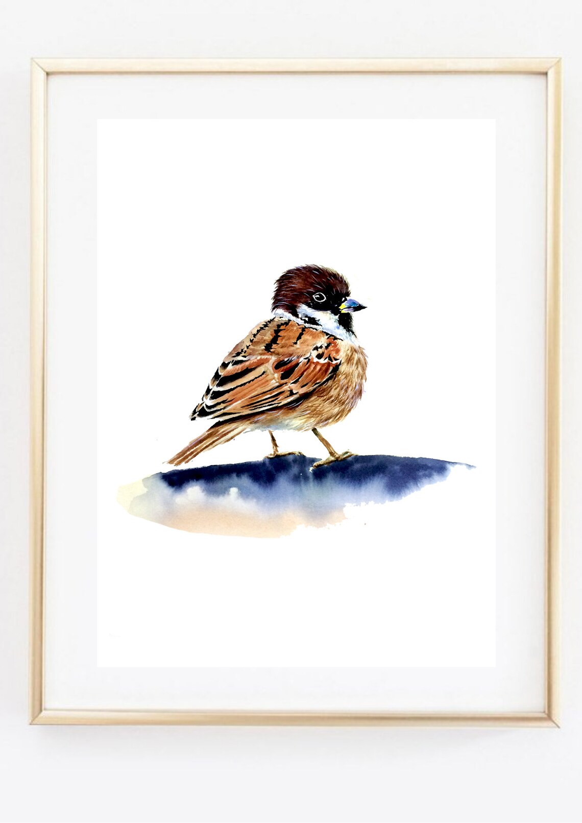 Sparrow Watercolor Brown Bird Standing On Blue Wash Art Poster